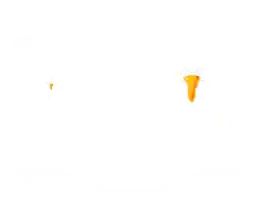 Honey Hole Bear Bait