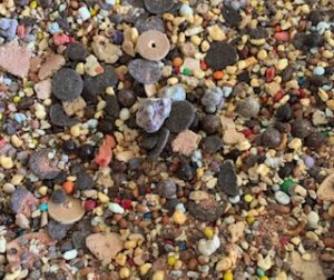 Trail Mix - Bag