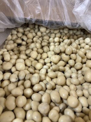 Yogurt Covered Raisins