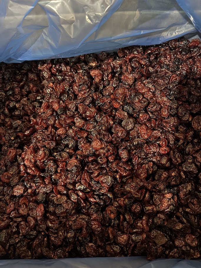 Craisins