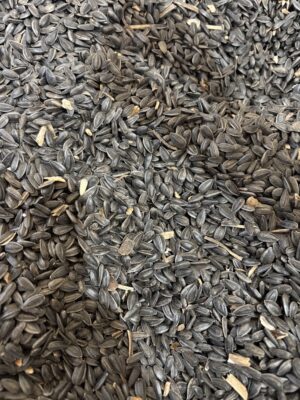Sunflower Seeds in Bags