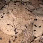 Cookies - Barrels - Image 3