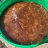 Honey - 2 Gallon Pails - Image 2