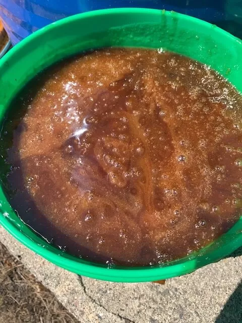 Honey - 2 Gallon Pails - Image 2